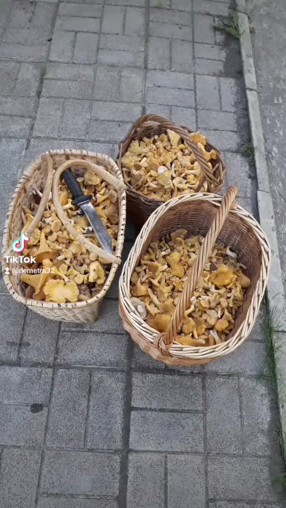 @Светлана Шахбалаева