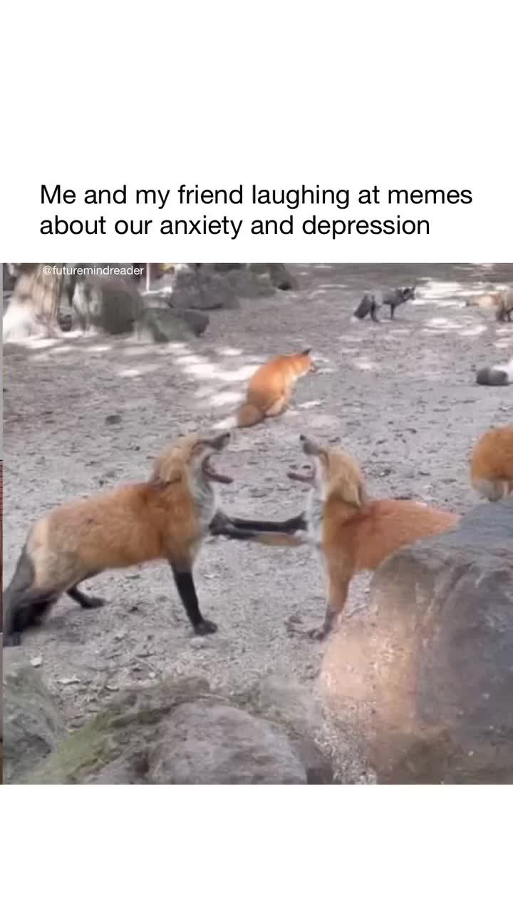 @memestok