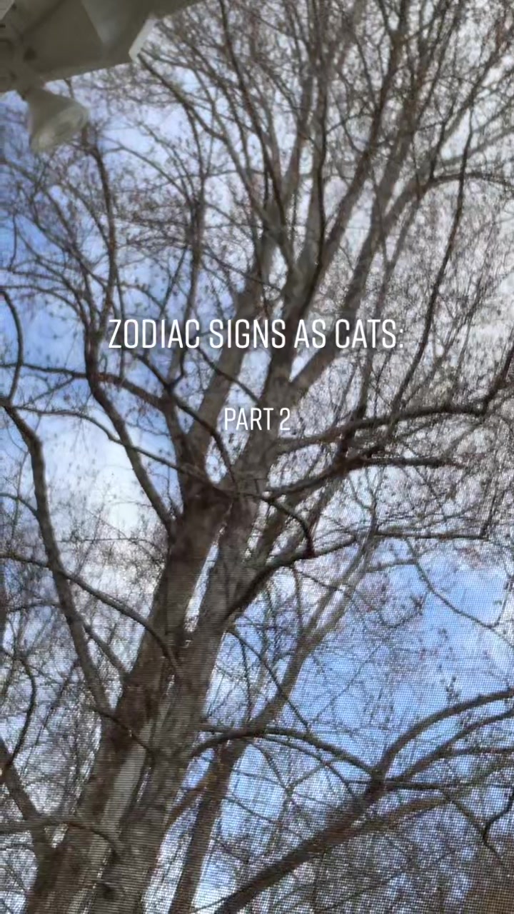 @Zodiac Signs