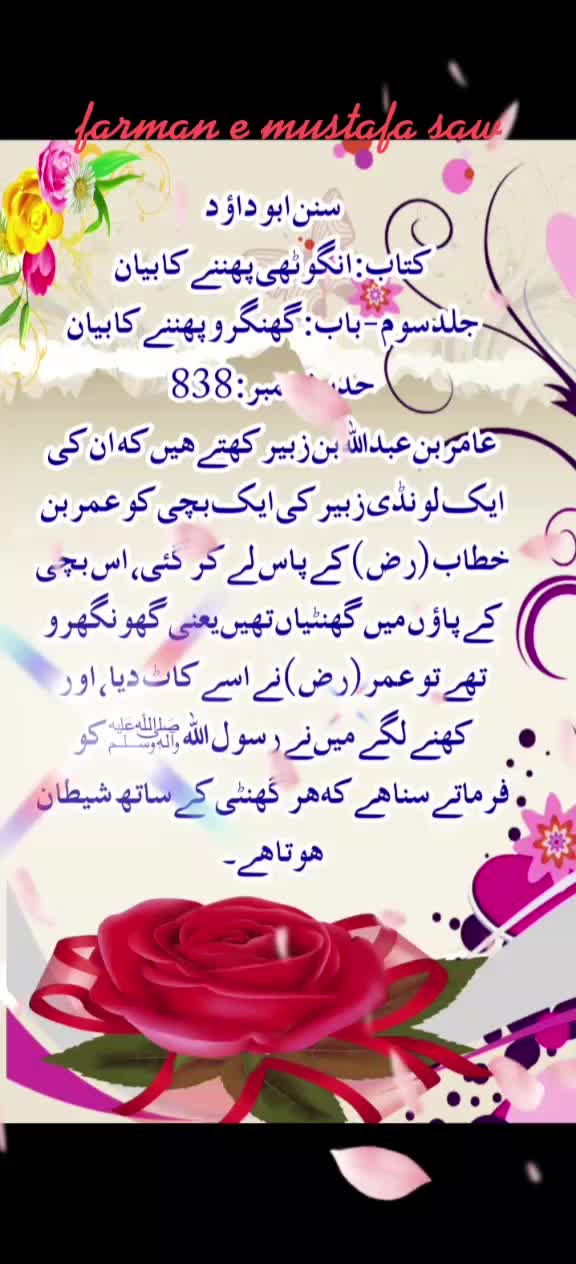 @Max Info