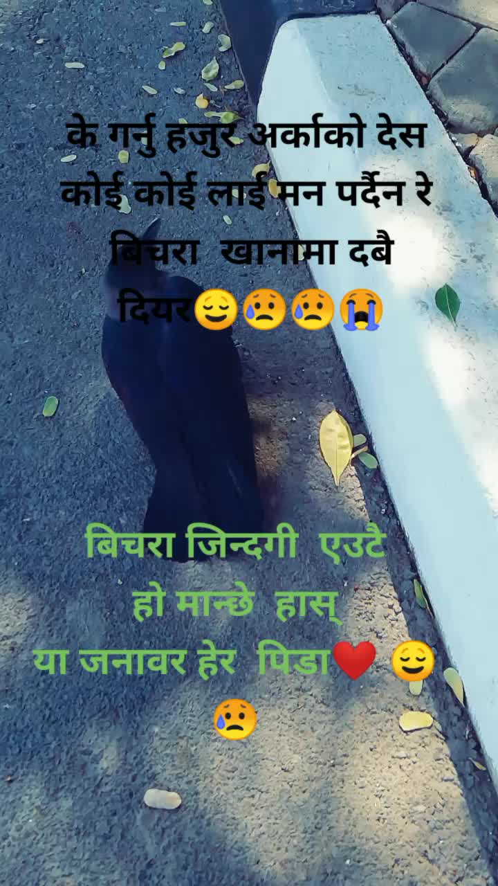 @❤️CHANDRA❤️ BHARATI95❤️😍😍