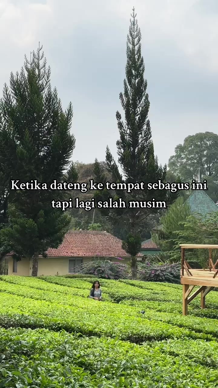 @Yuanita Seruni
