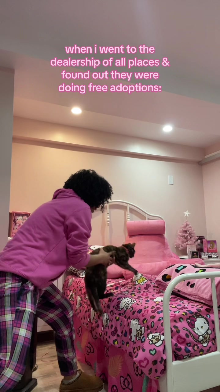 @ℒ𝒶 𝓊𝓃𝒾𝒸𝒶༒