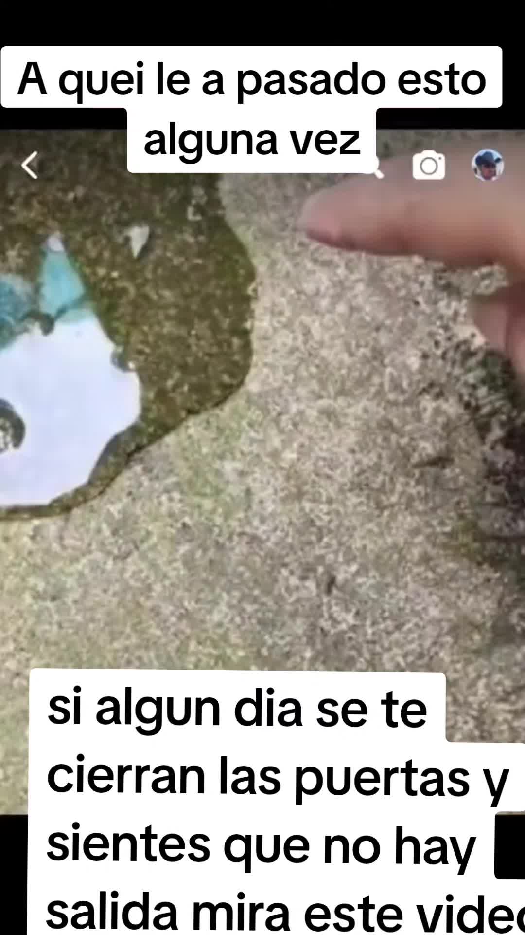 @El Solitario
