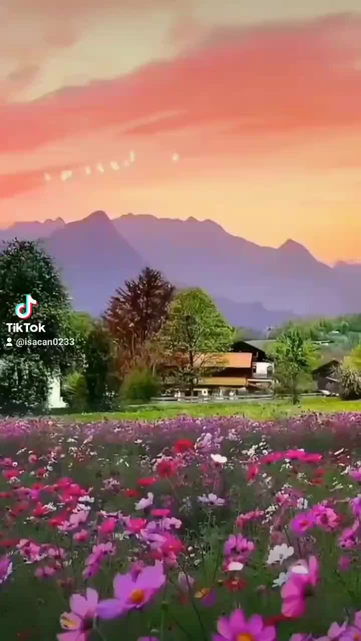 @jesus
