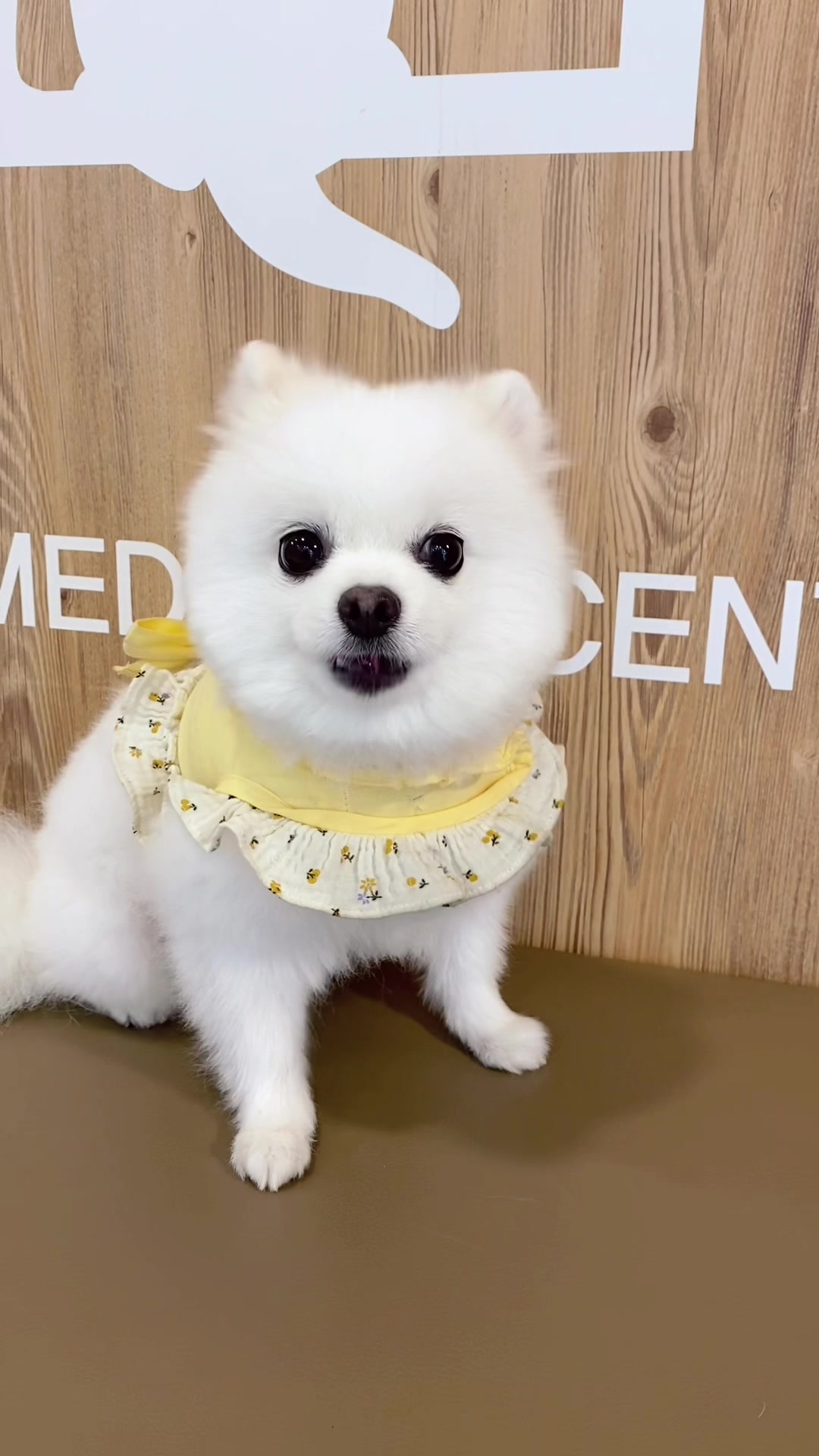 @권하리