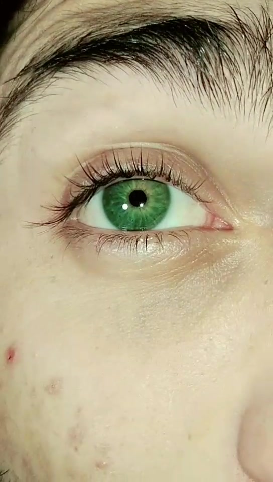 @𝐱 𝐙 𝐄 𝐍 𝐓