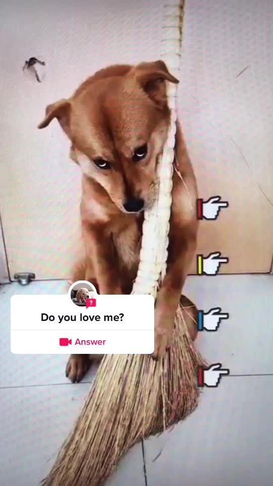 @xixite