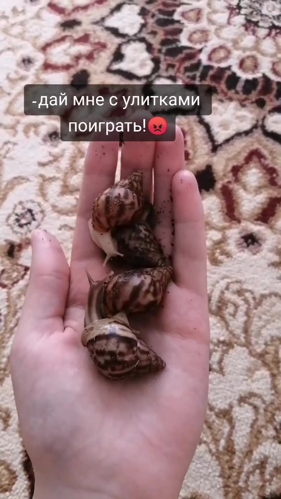 @Улиточки🐌💞