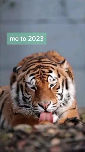 @I҈G҈O҈