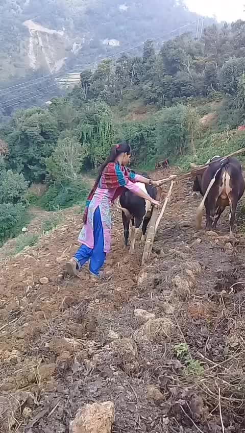 @Prakriti Magar