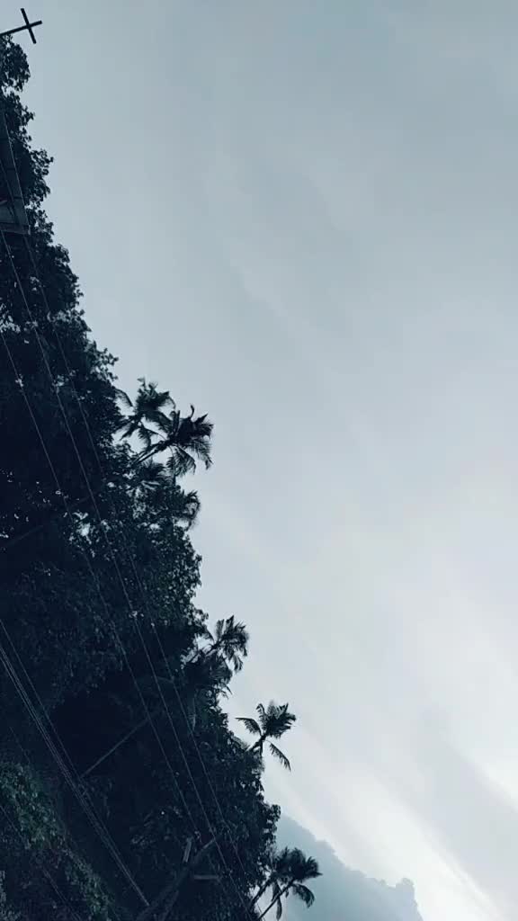 @😎 mr. പ വ നാ യി  🤓