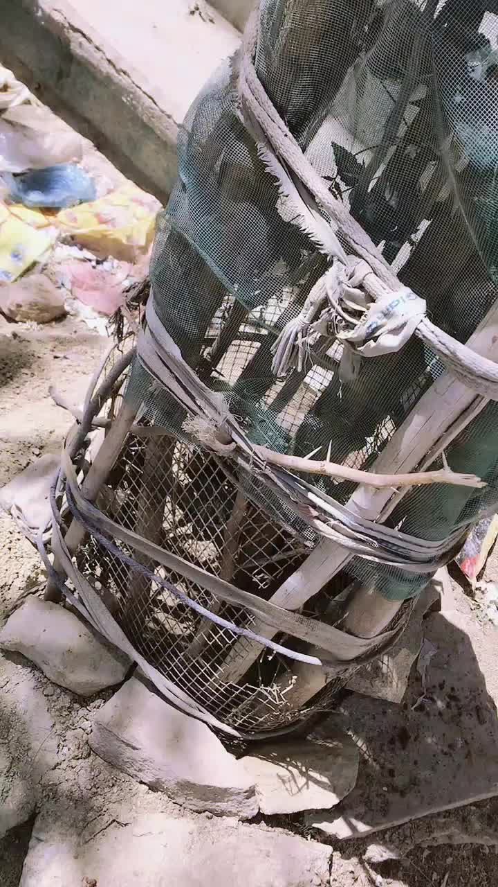 @koko nadan