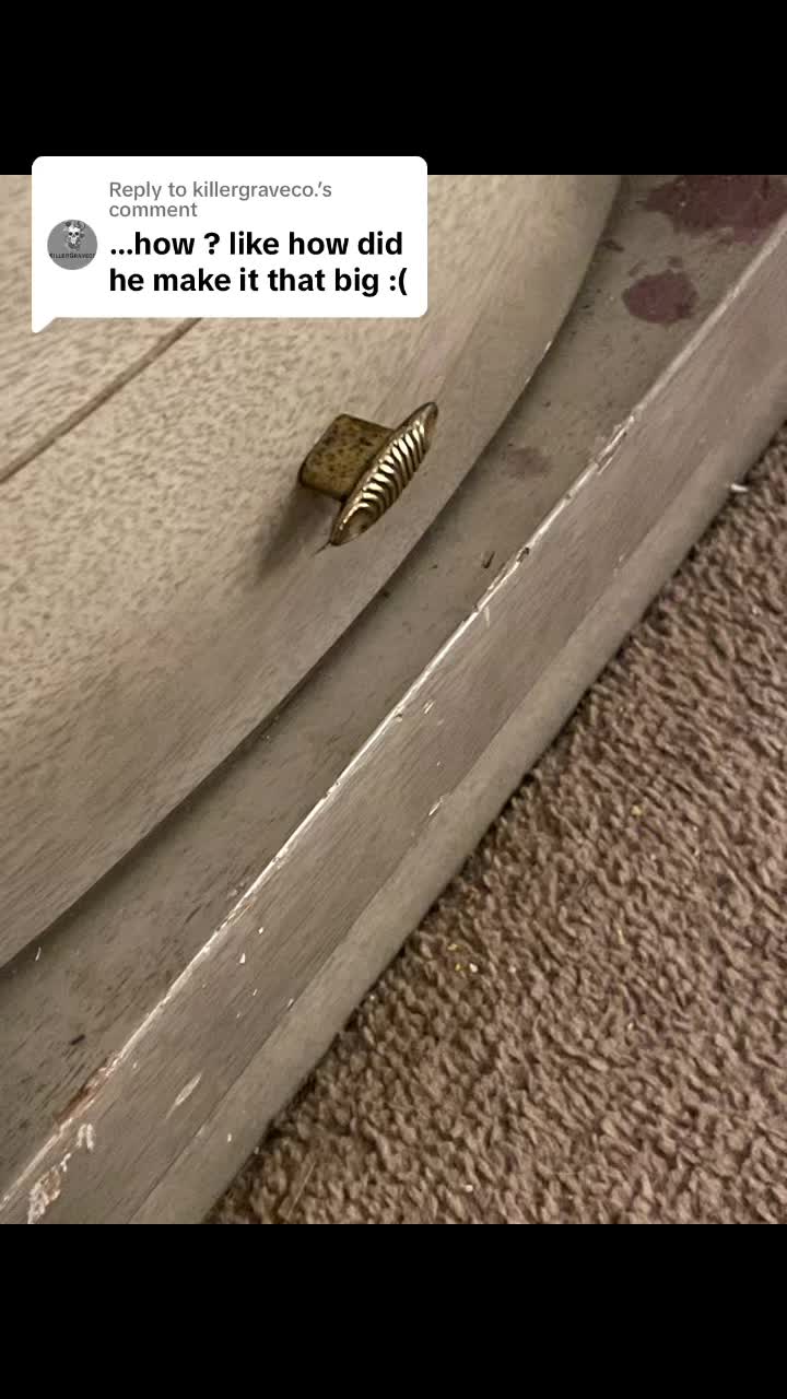 @jessicas_animals87