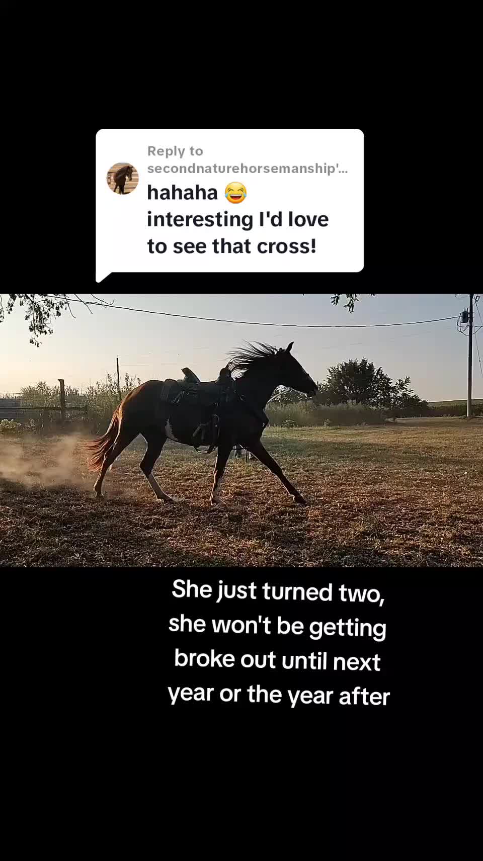 @Casting Chrome