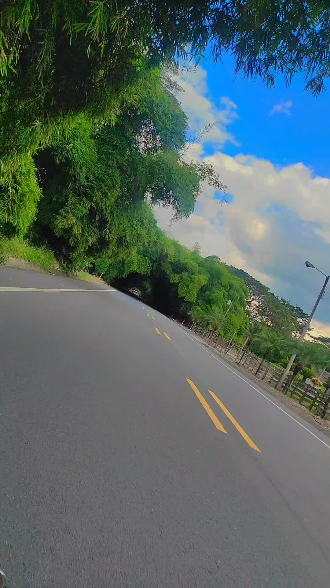 @Gissêl Vélez