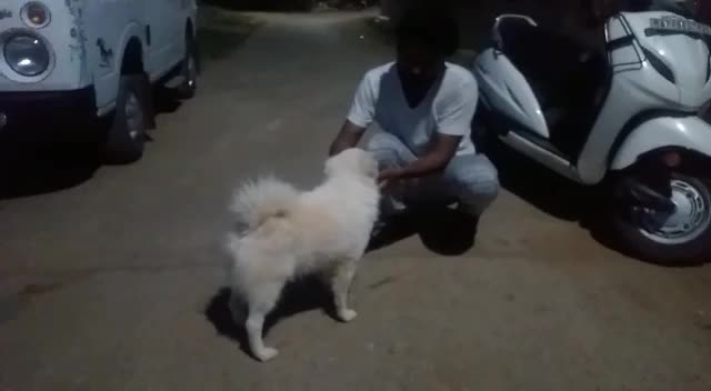 @prabhas