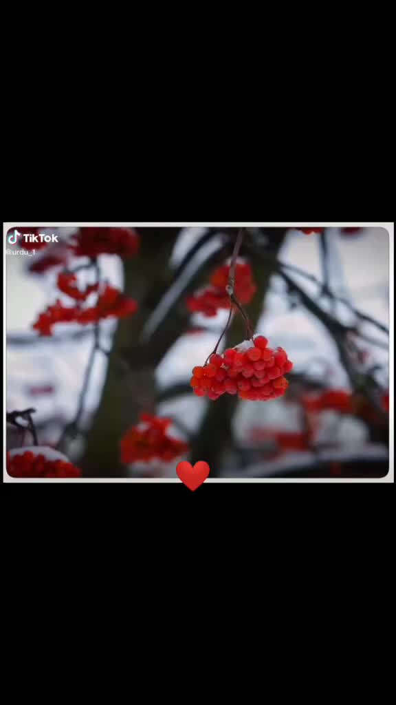 @Riaz Ali Baloch