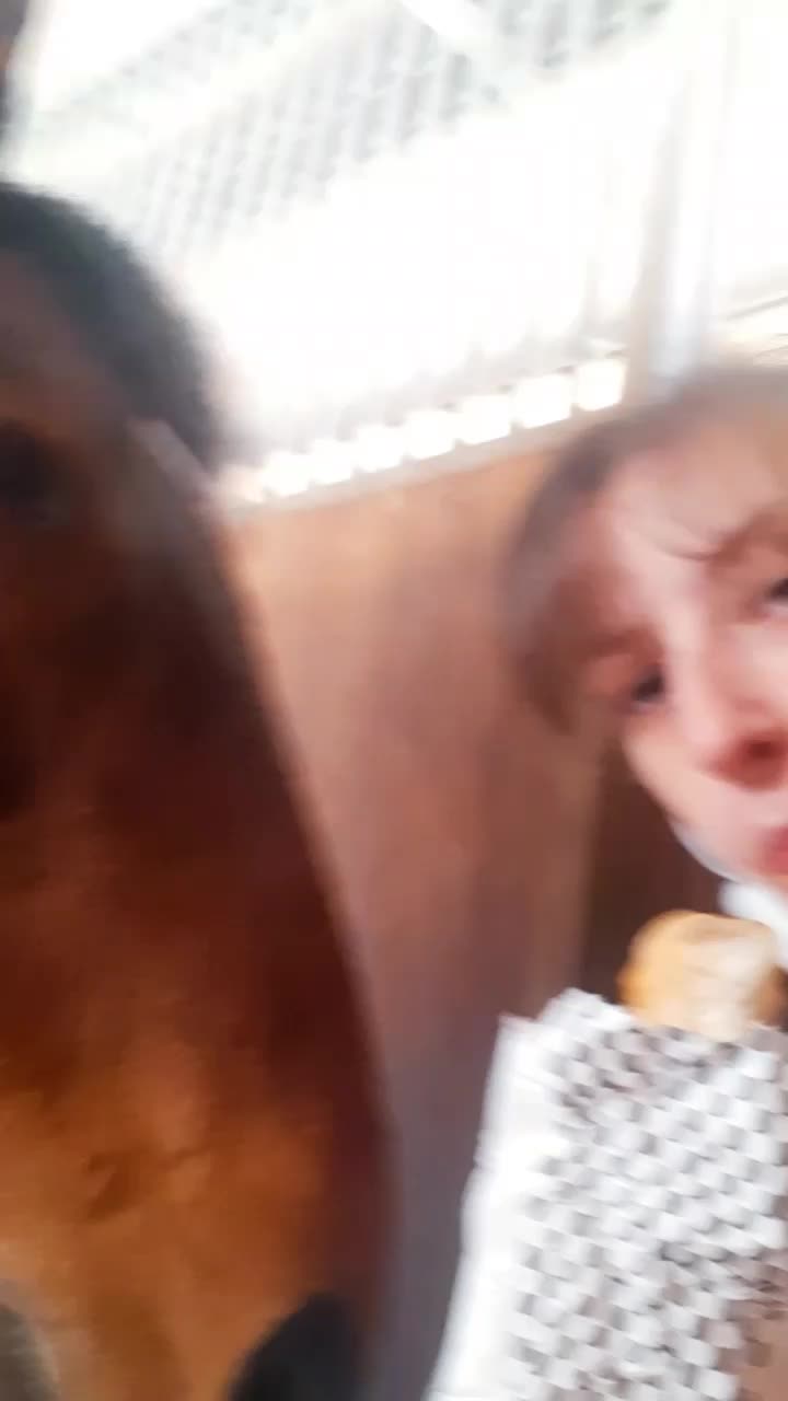 @Tatiana Guarinoni