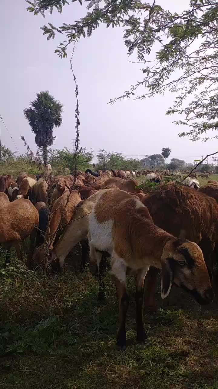 @Sai charan