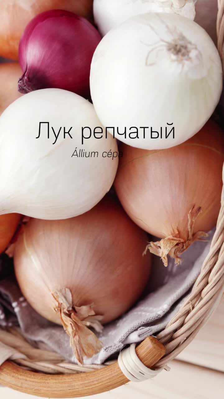 @Juliya Afoshina