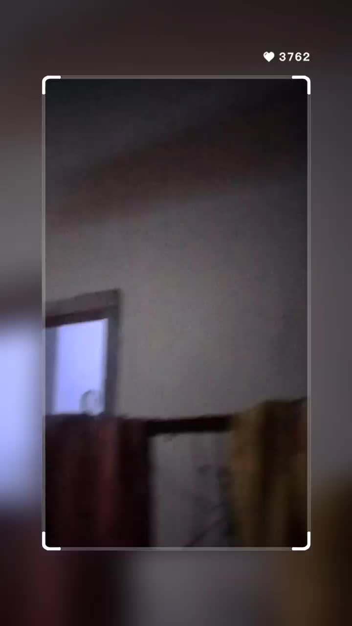 @user5756606697817