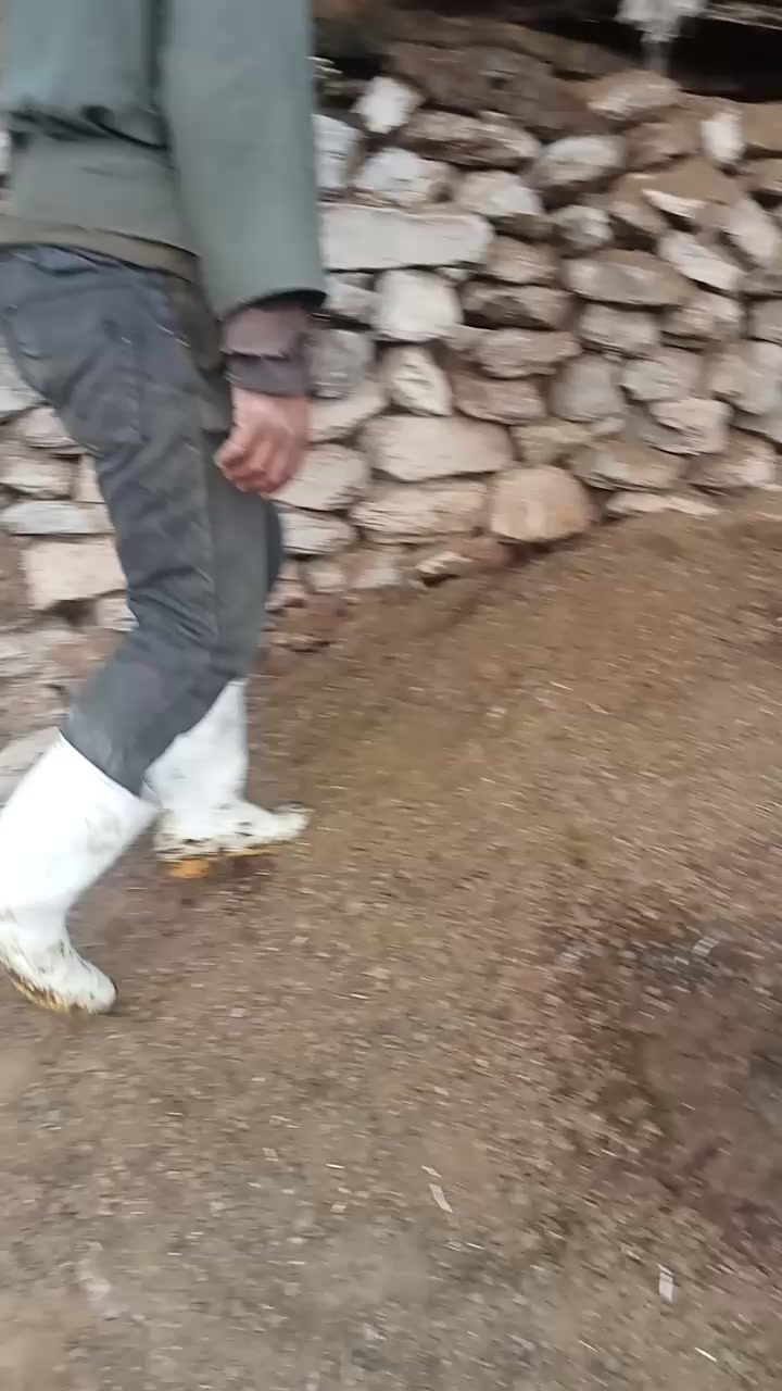 @جمال بالعباسي