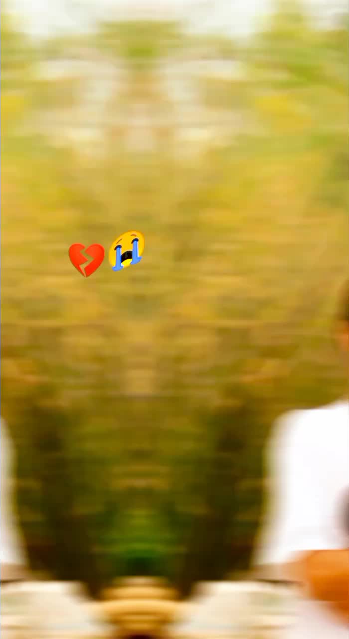 @ビ パナ💓