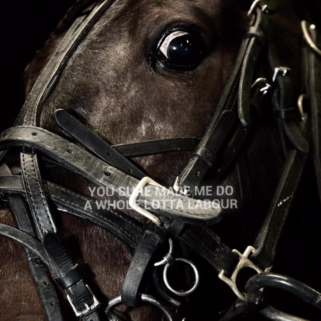 @{𐂃EquestrianEdits.X0X0𐂃}