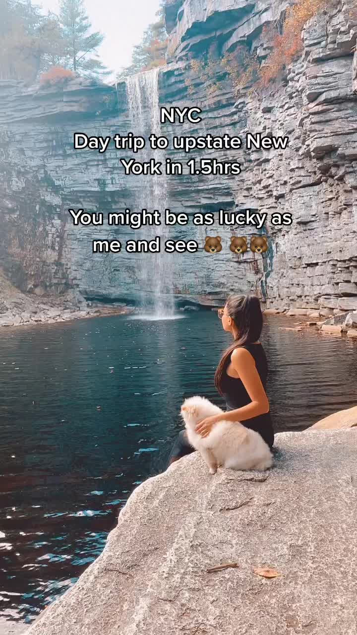 @toosha_z
