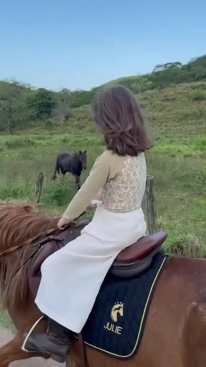 @tarki_horses05
