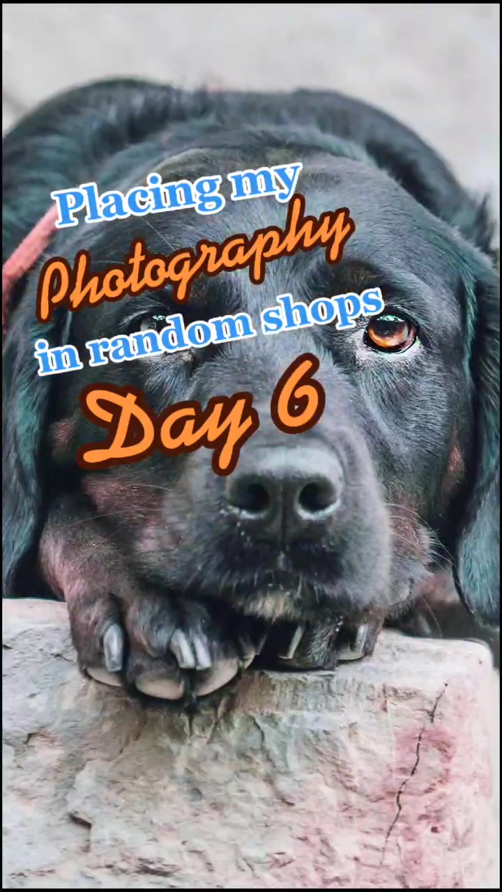 @Poultry_Motion