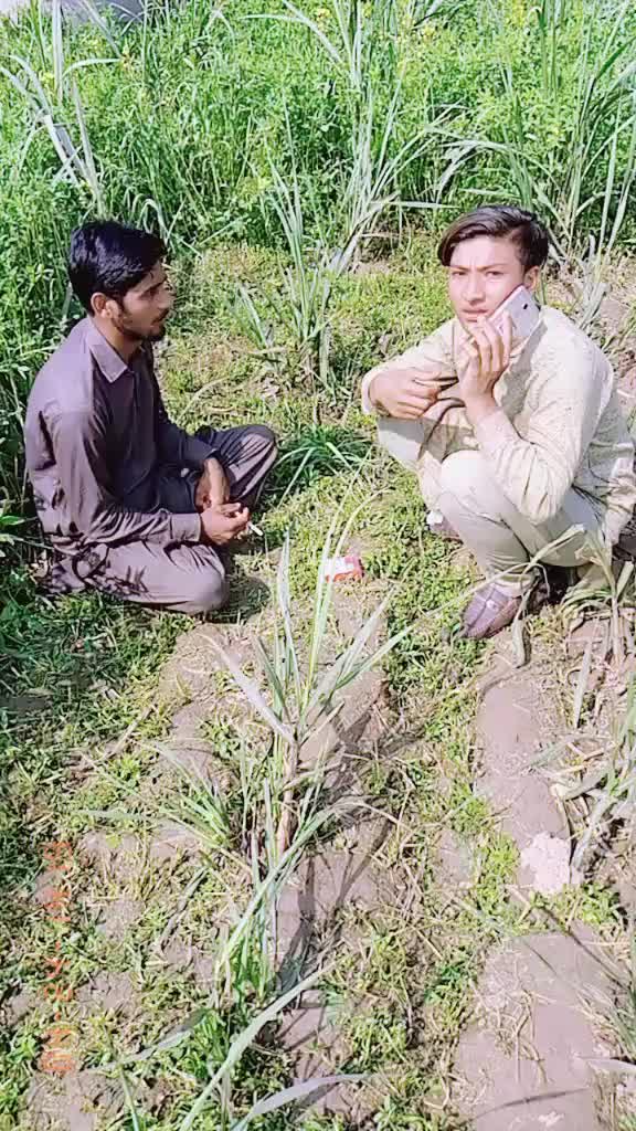 @Hamid Jutt3593
