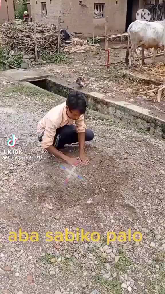 @bunny 225