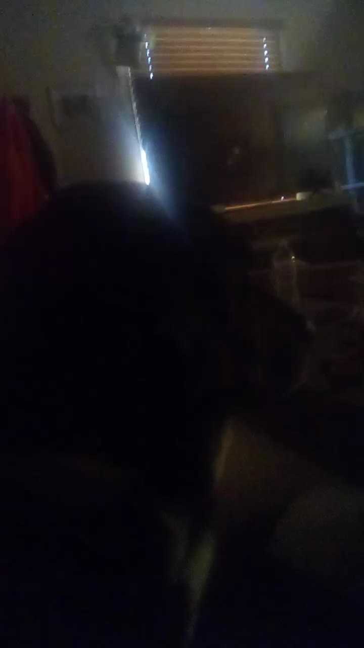 @Blue_RaptorGamer264