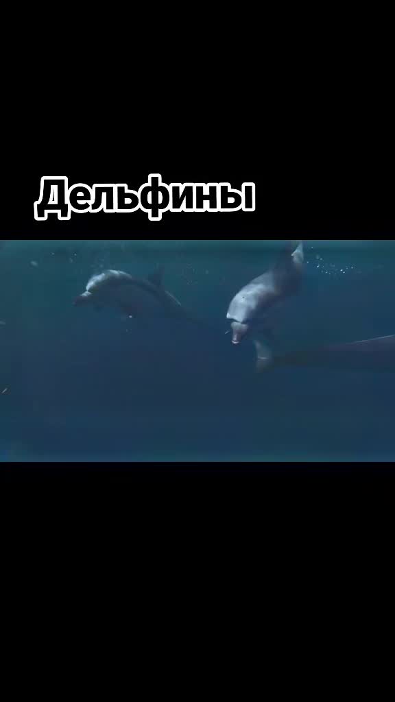 @ЯРОСЛАВ🖤🖤🖤ГЕРОЙ