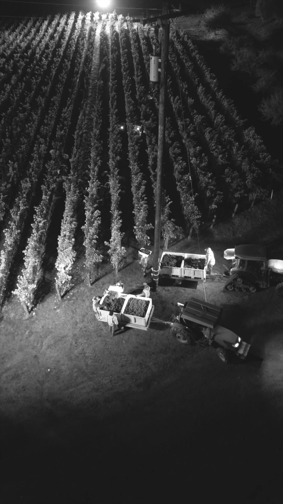 @WineCountryDrone