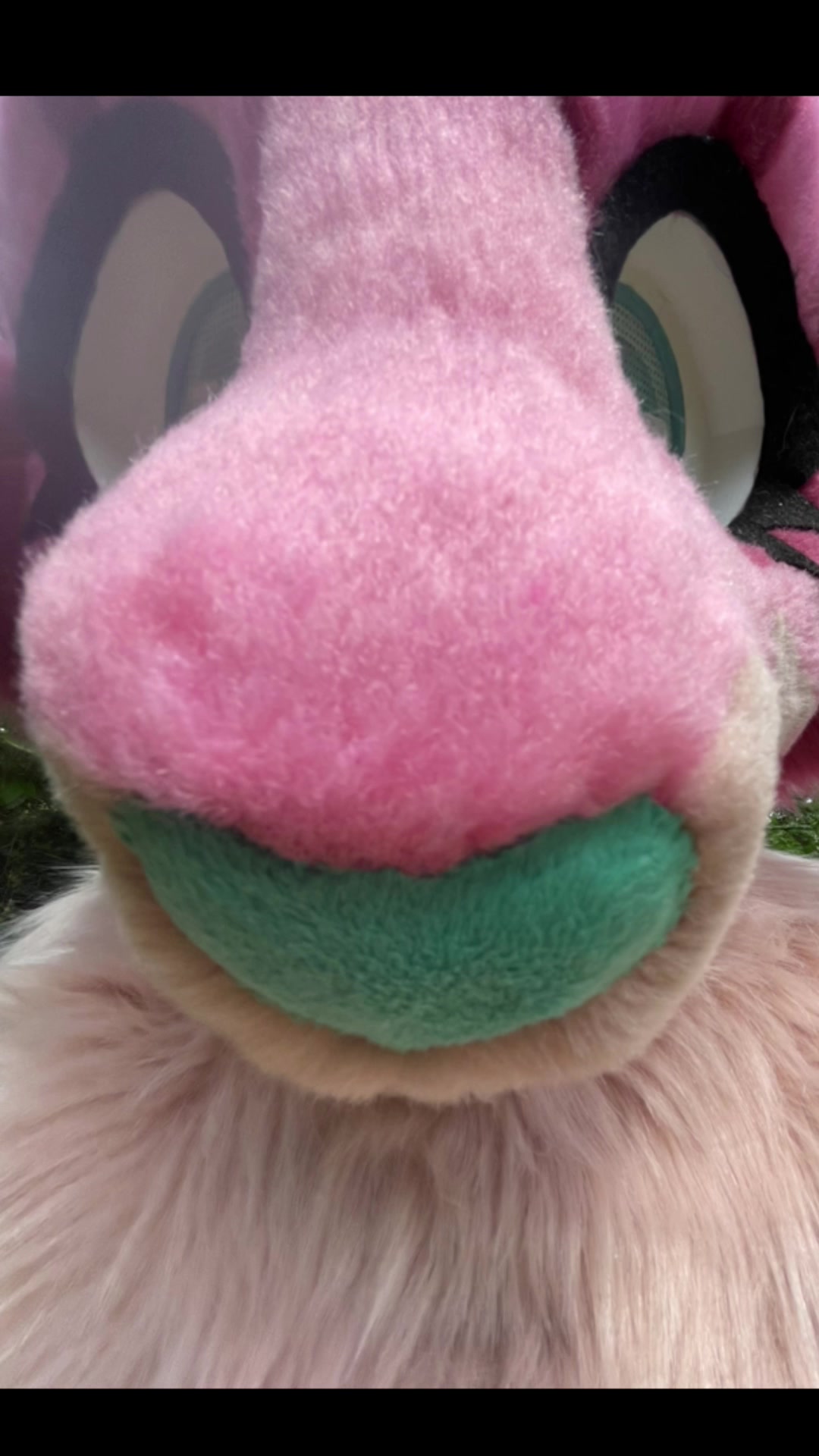 @𝐋𝐮𝐧𝐞 /ᐠ ̥ ̮ ̥ ᐟ\
