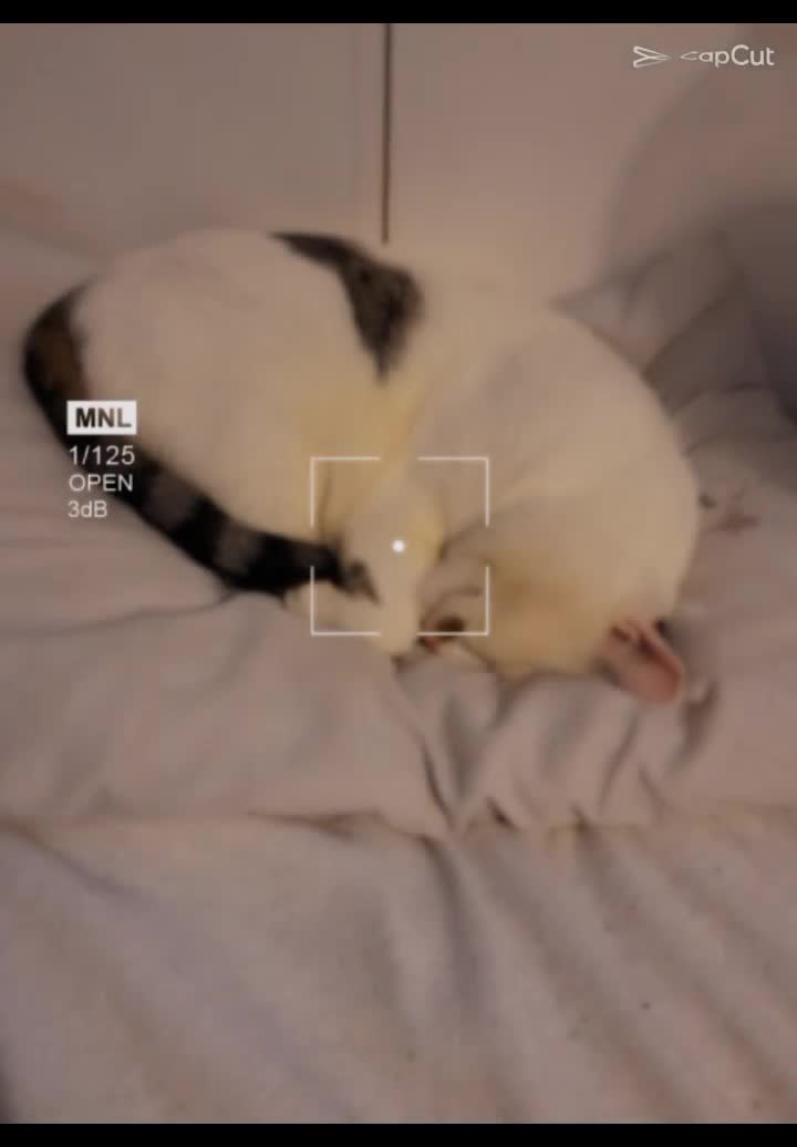 @Mattvr