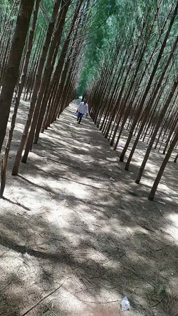 @karthikcake