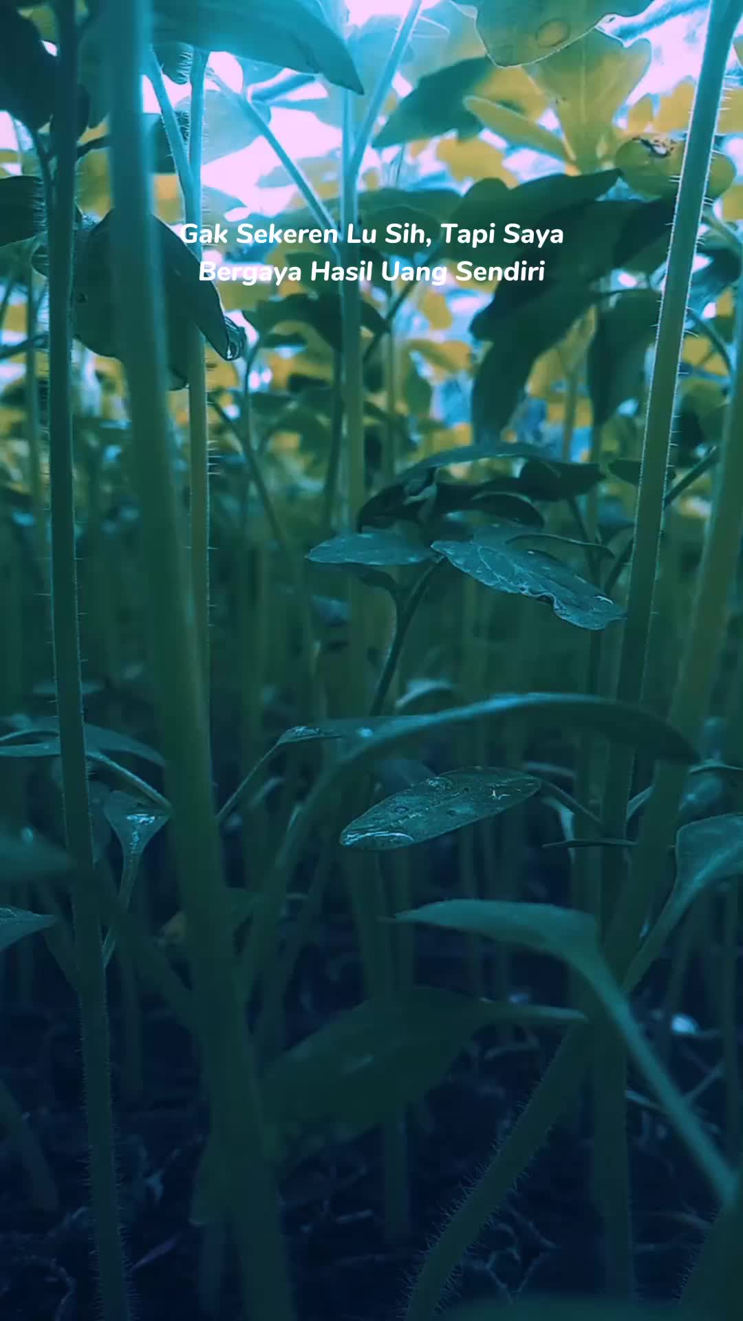 @ᴛᴀɴᴋᴇʀᴛɪᴋᴛᴏᴋ[🎭]