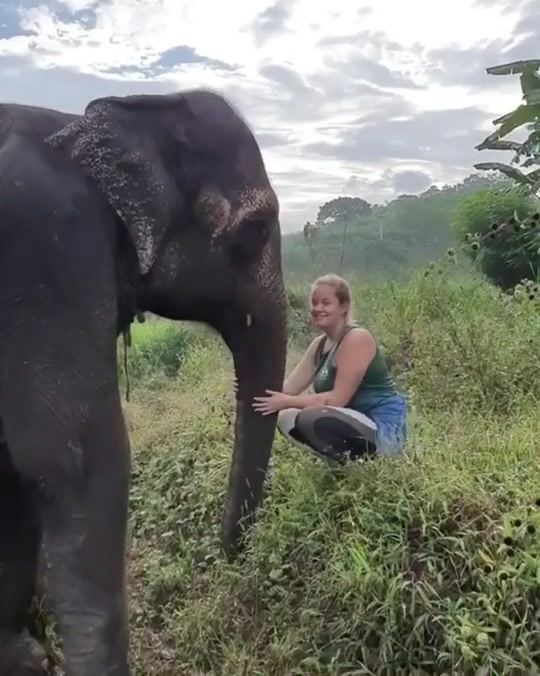 @Sri Lanka