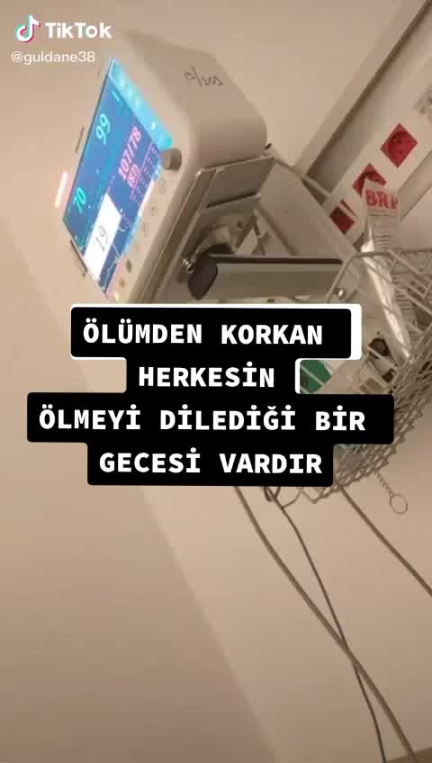 @zesegu38