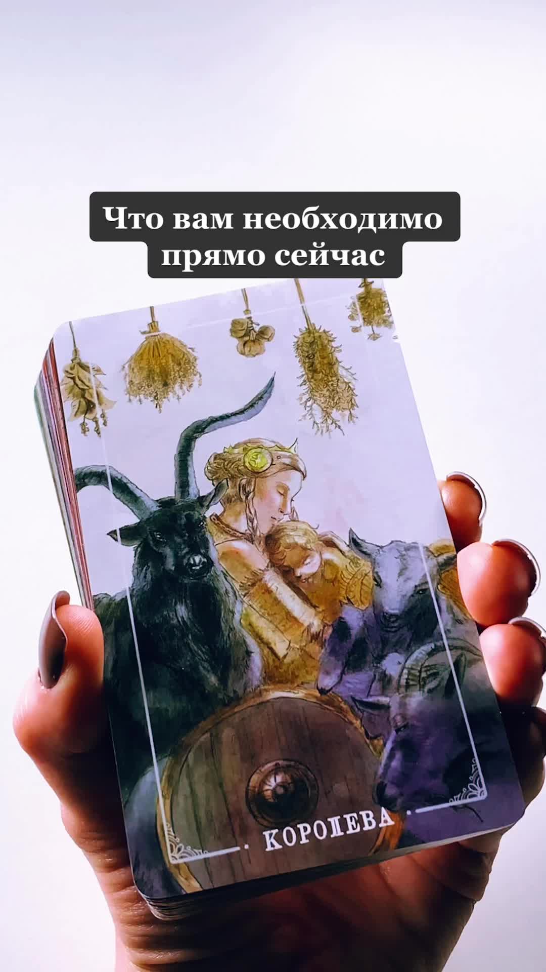 @Всеока Таро