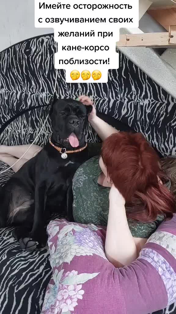 @Radychka33