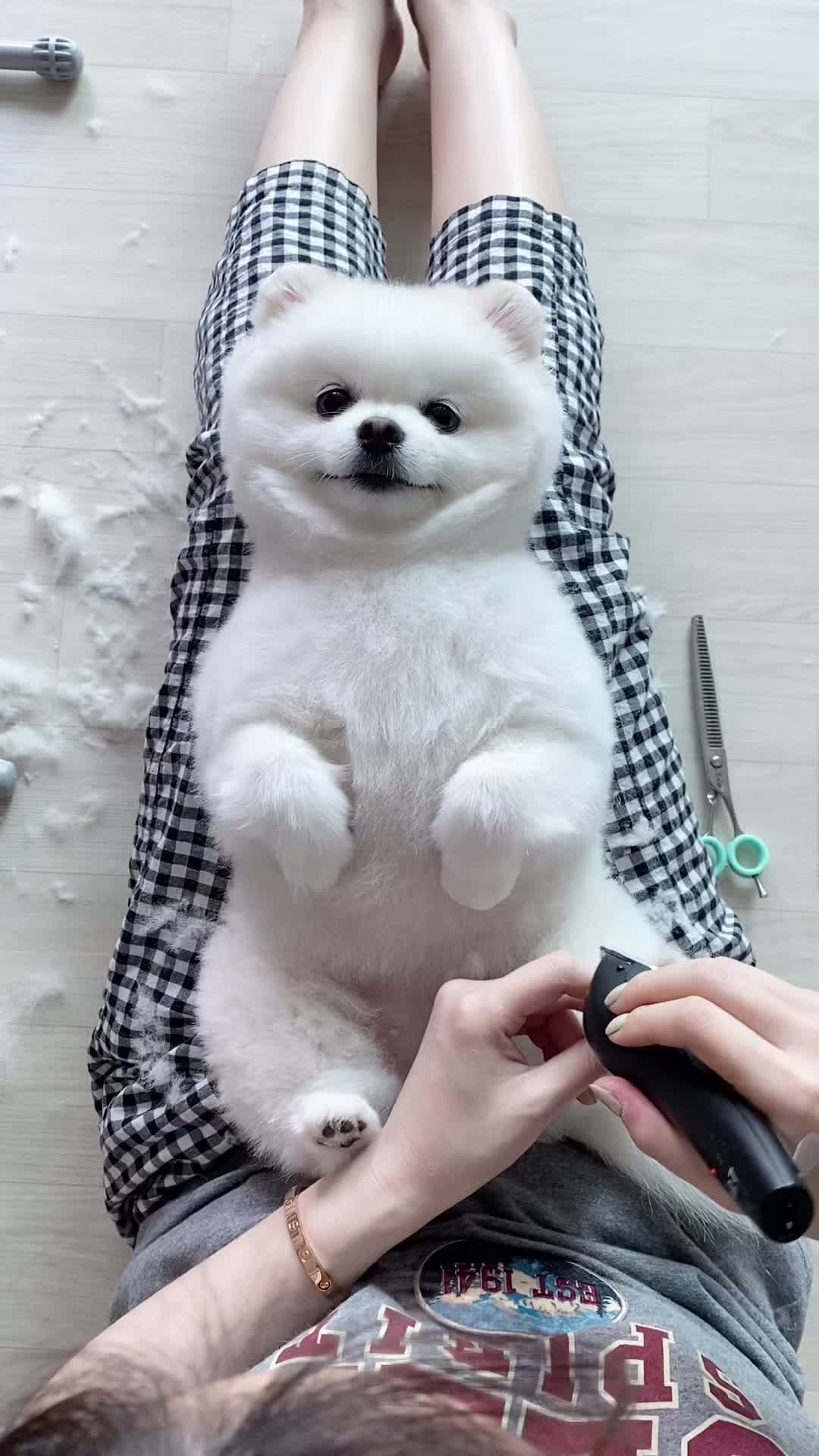 @권하리