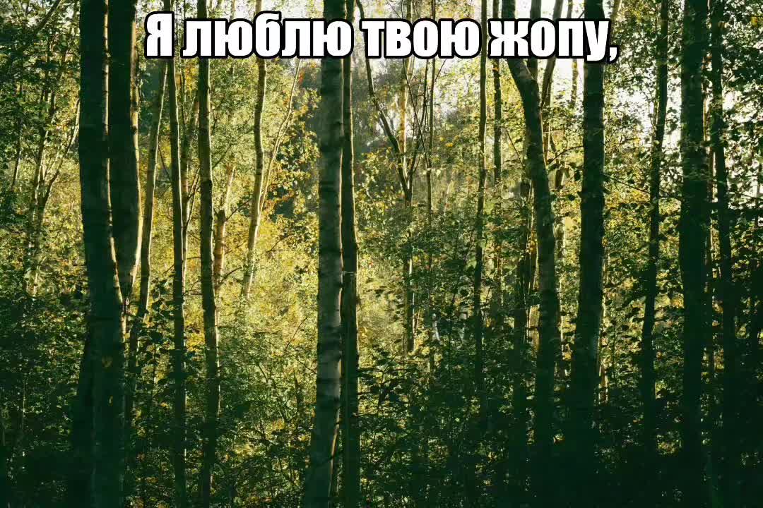 @cryesdeath
