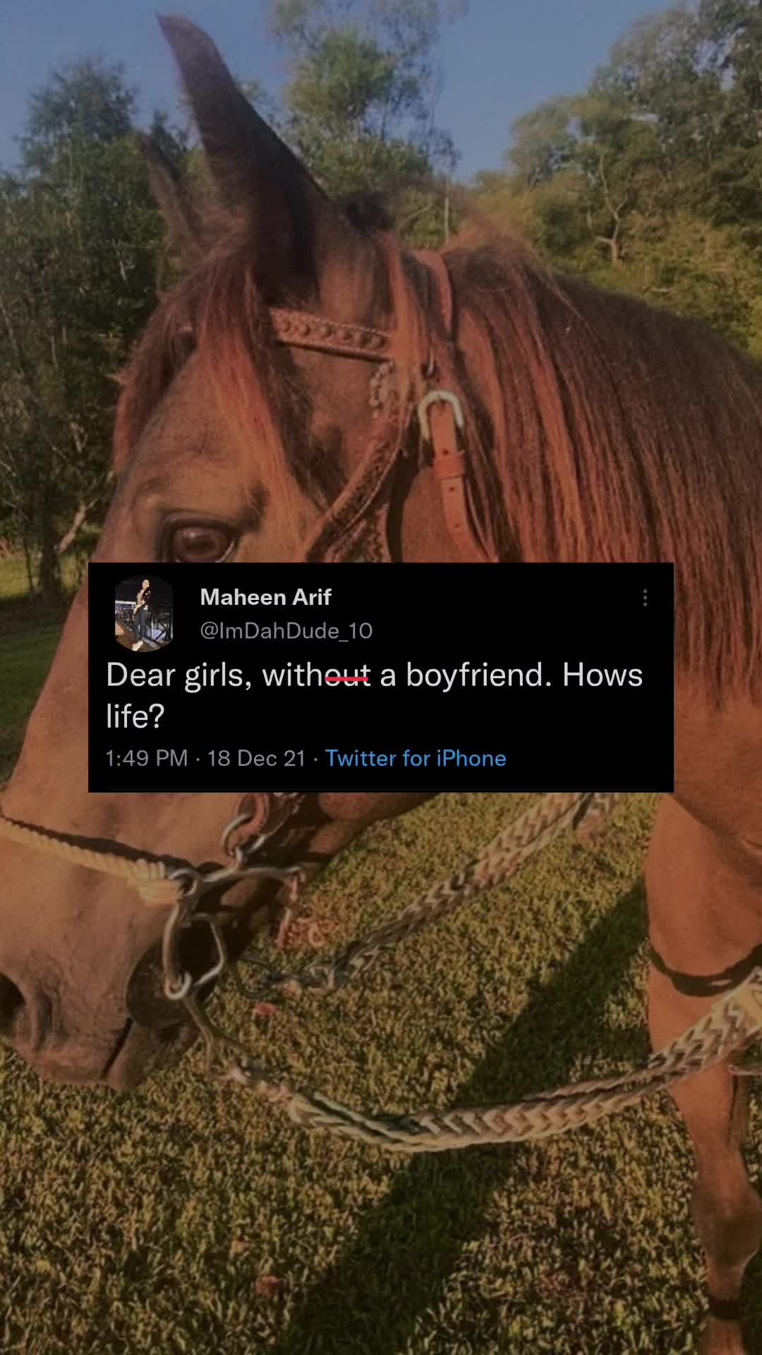 @🦄