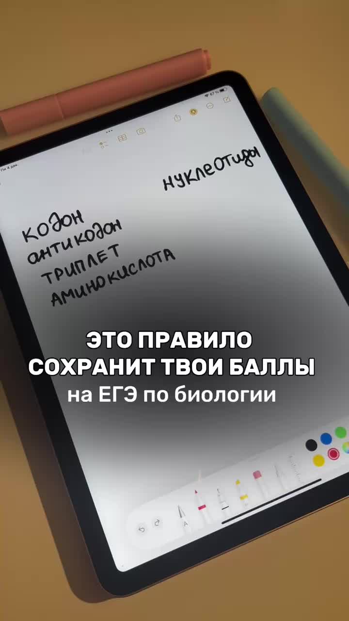 @Алёна Бриз