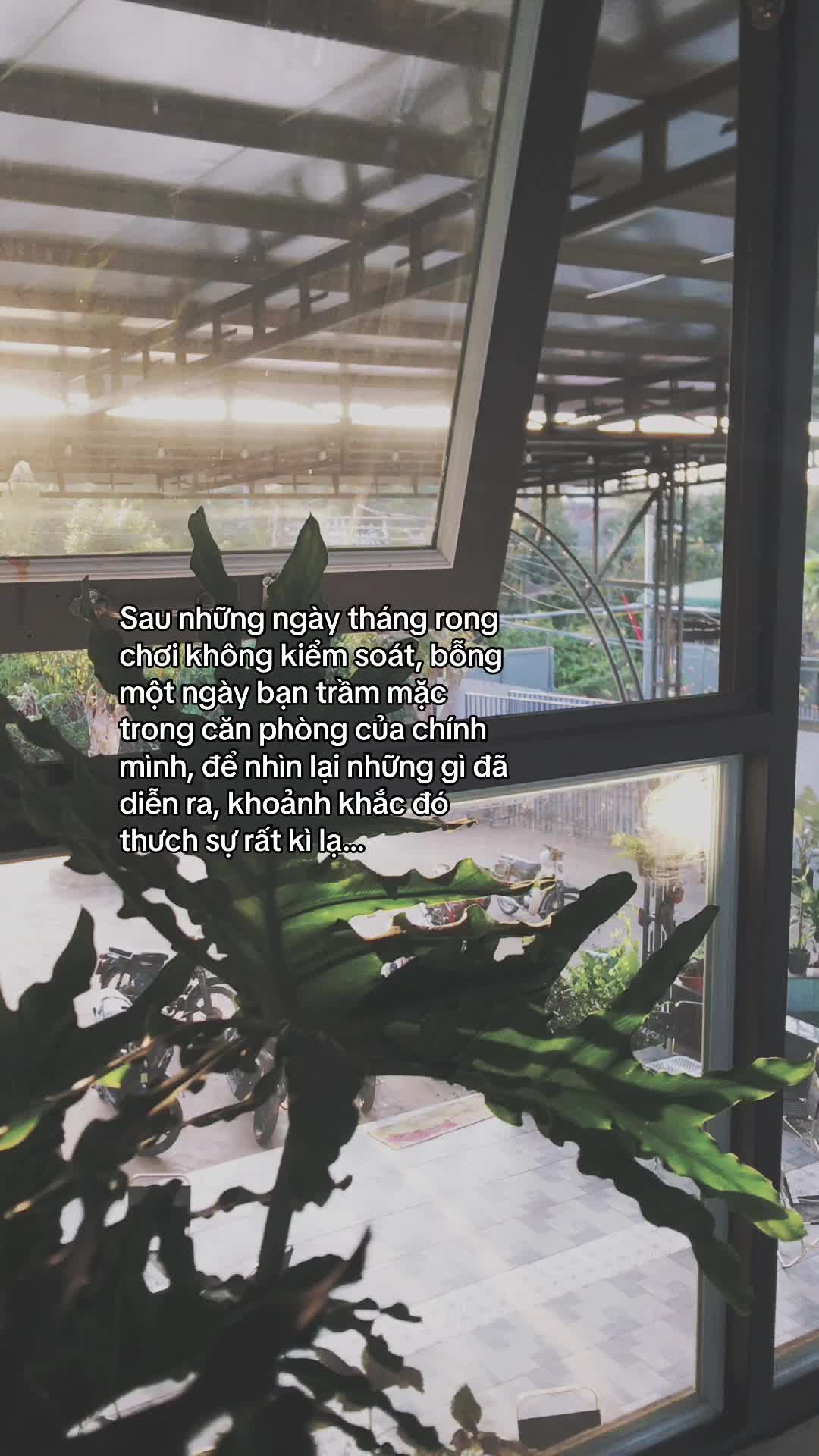 @𝙌𝙪𝙤𝙘 𝙥𝙝𝙪 シ